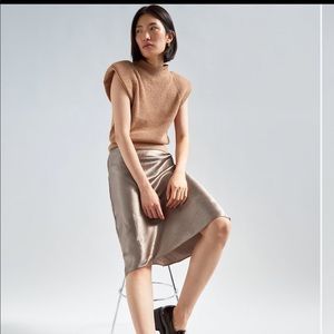 Aritzia Babaton Slip Midi Skirt